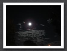 DSC01813